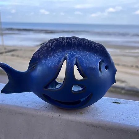 Kersimoun - F3 Spacieux - 1er Et Face & Saint-Aubin-Sur-Mer (Calvados)